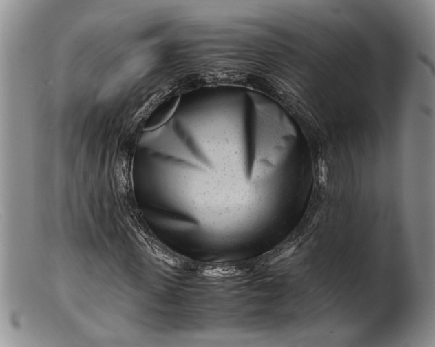 X0000099460915200805231802