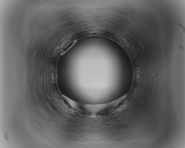 X0000099460916200805231802