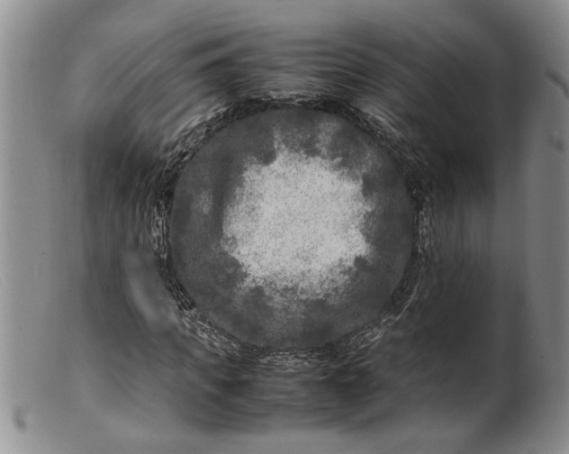 X0000099460917200805231802