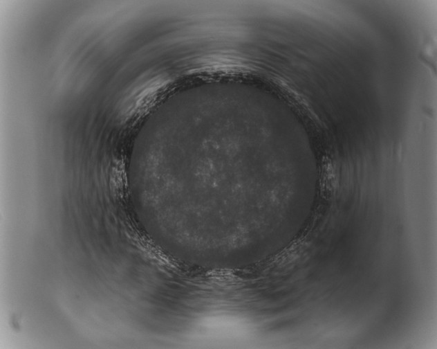 X0000099460918200805231803