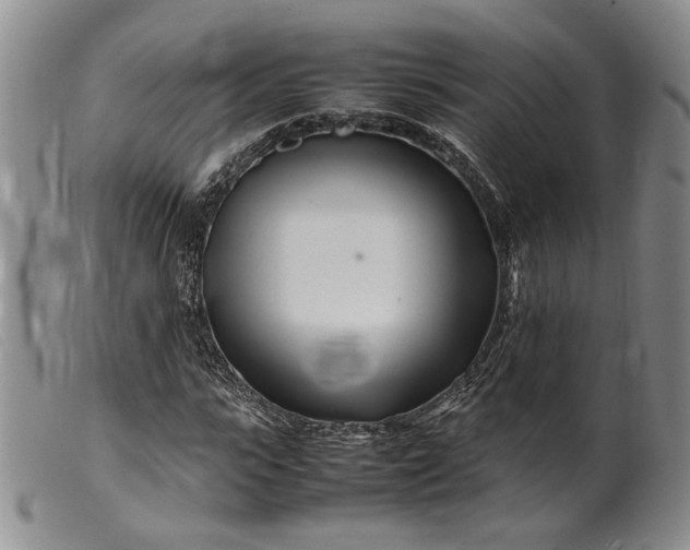 X0000099460919200805231803