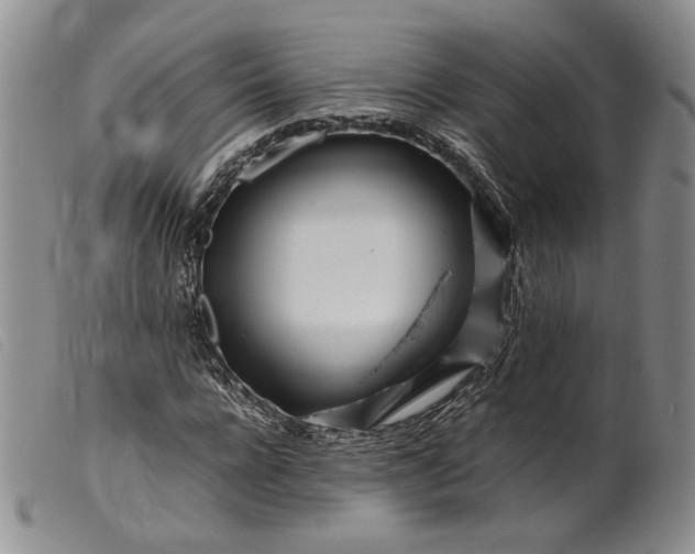 X0000099460920200805231803