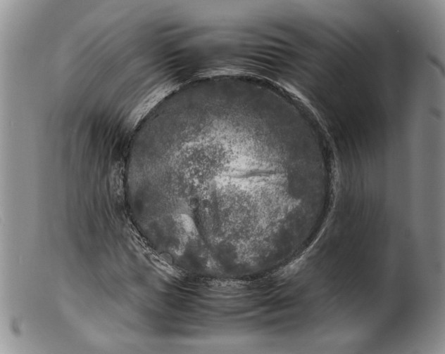 X0000099460921200805231803