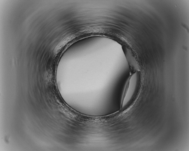 X0000099460922200805231803