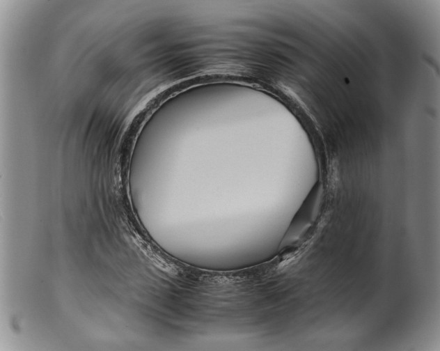 X0000099460923200805231803