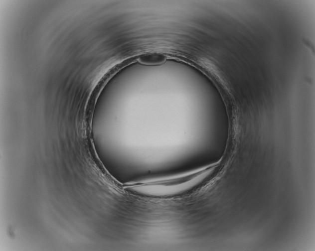 X0000099460924200805231803