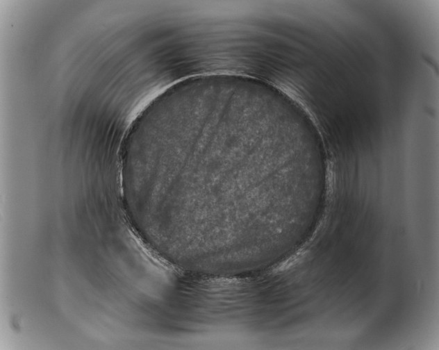 X0000099460925200805231803