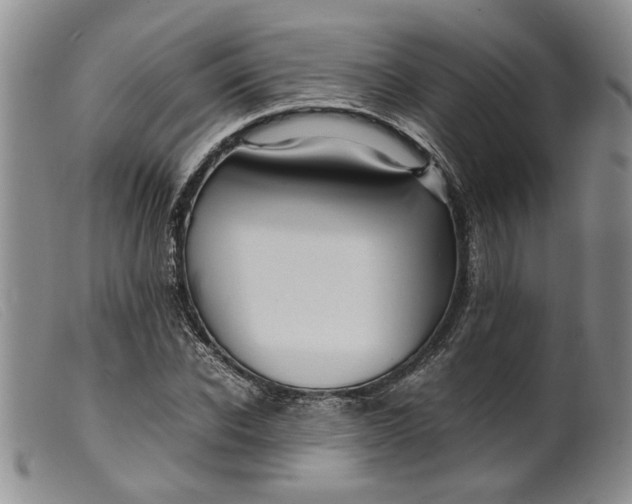 X0000099460926200805231803