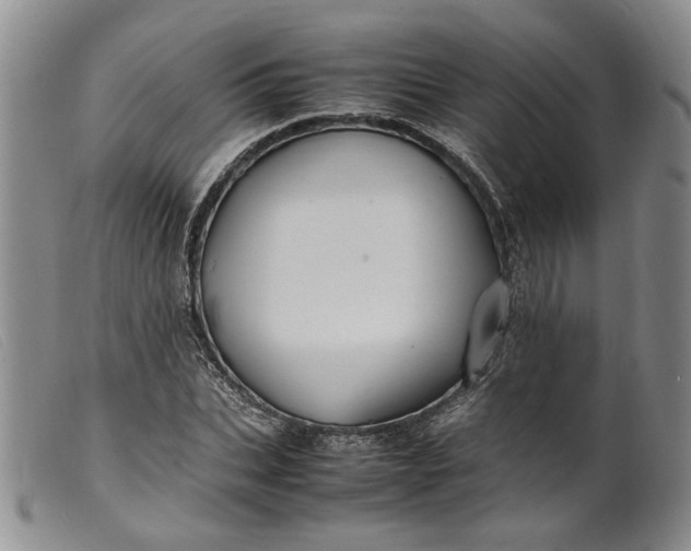 X0000099460927200805231803