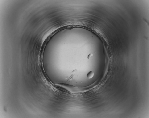 X0000099460928200805231803