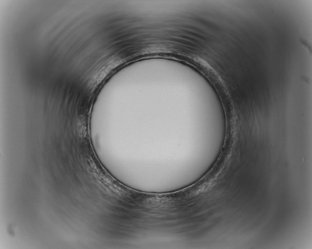 X0000099460929200805231803