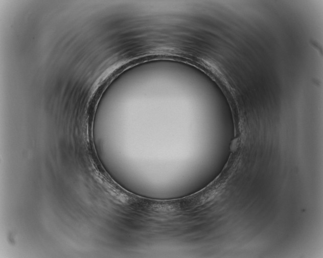 X0000099460931200805231803