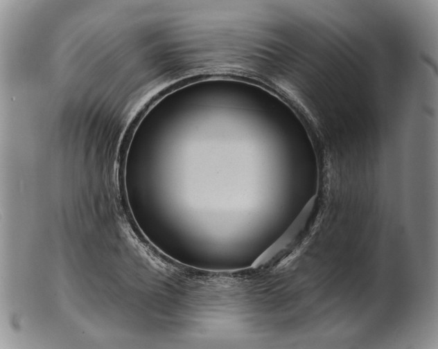 X0000099460932200805231803