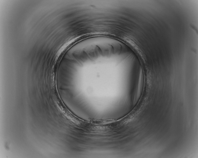 X0000099460933200805231803