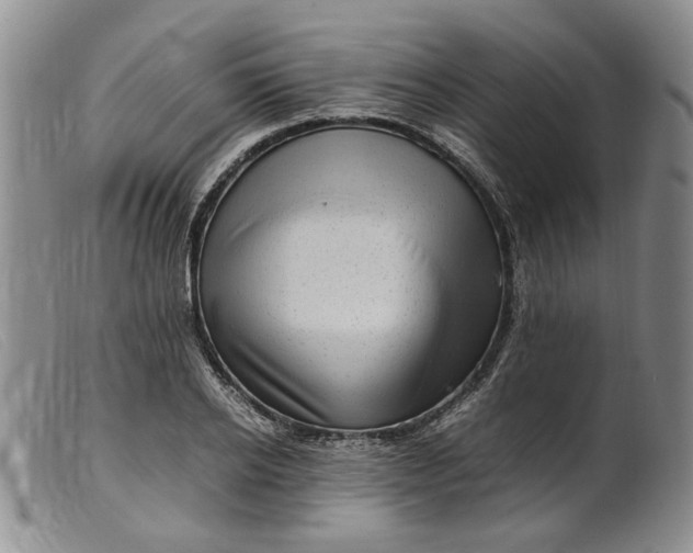 X0000099460934200805231803