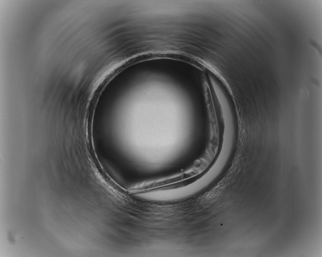 X0000099460935200805231803