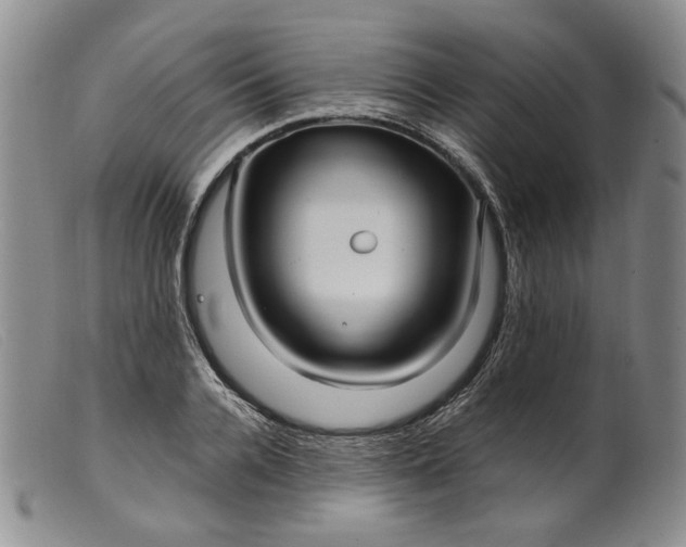 X0000099460936200805231803