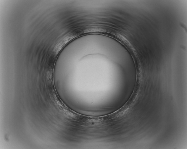 X0000099460937200805231803