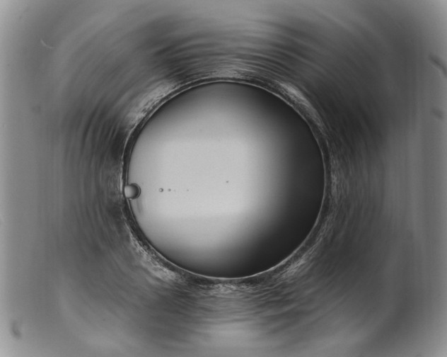 X0000099460938200805231803