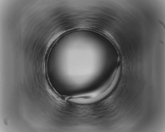 X0000099460939200805231803