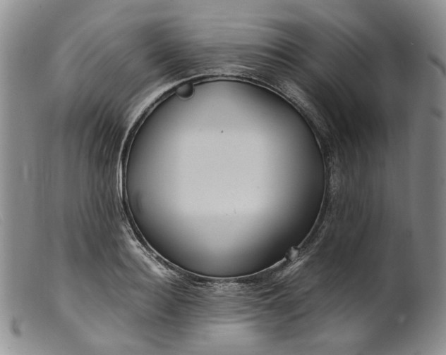 X0000099460940200805231803