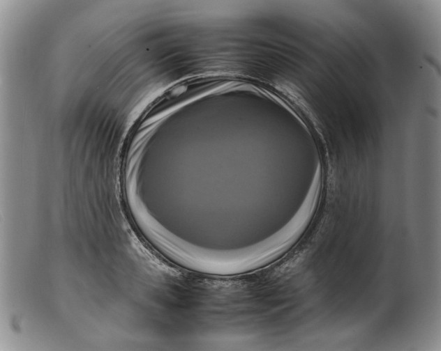 X0000099460941200805231803