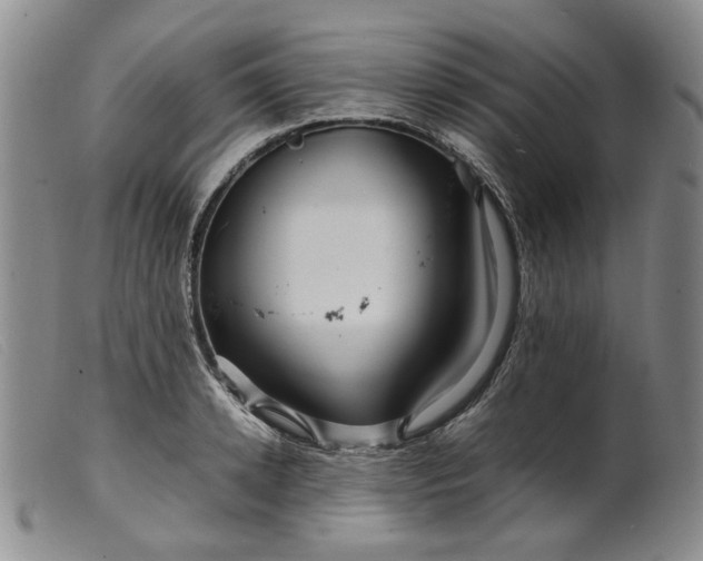 X0000099460942200805231803