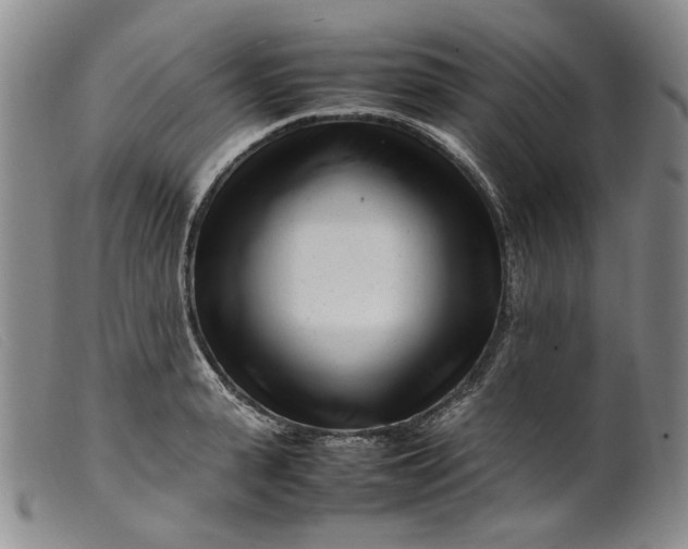 X0000099460943200805231803