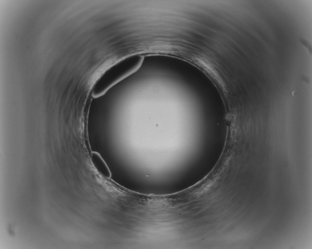 X0000099460944200805231803