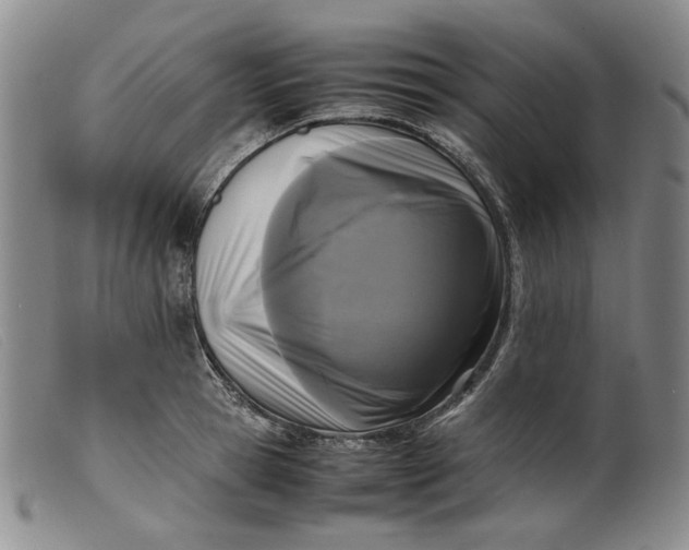 X0000099460945200805231803