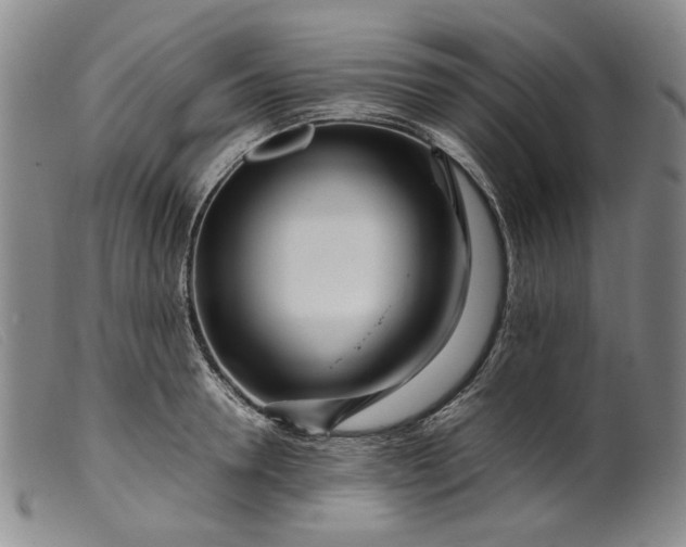 X0000099460946200805231803