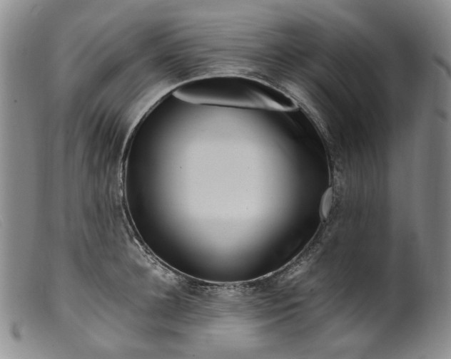 X0000099460948200805231803