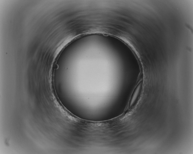 X0000099460949200805231803