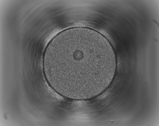 X0000099460950200805231803