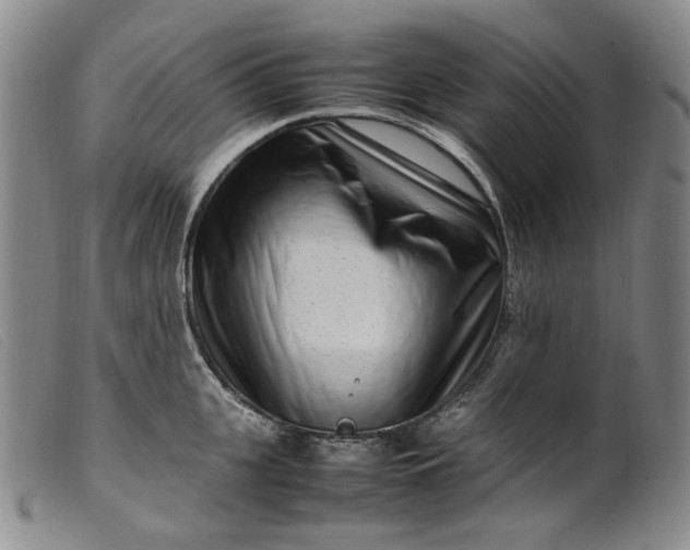 X0000099460951200805231803