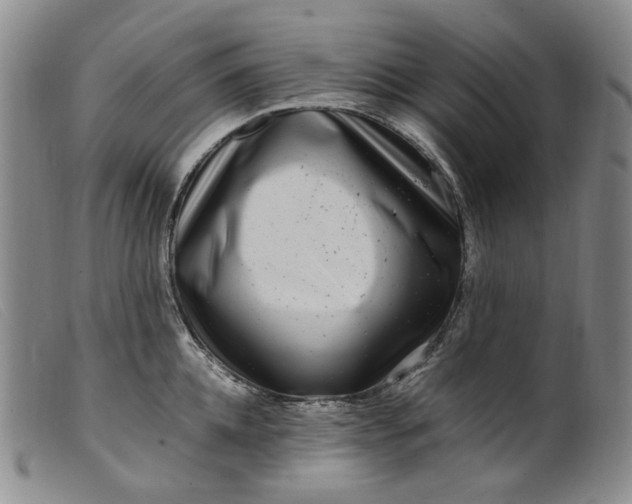 X0000099460952200805231803