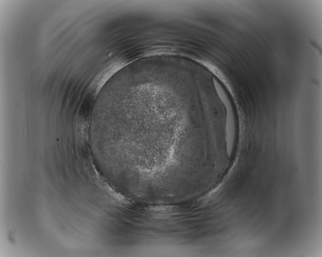 X0000099460953200805231803