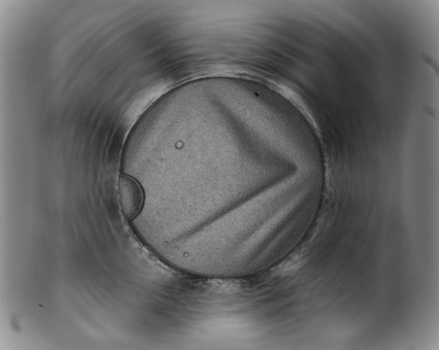 X0000099460954200805231803