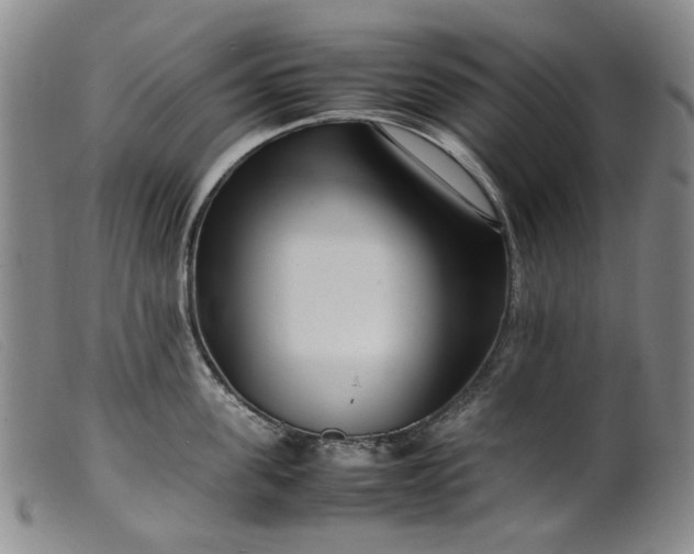 X0000099460955200805231803