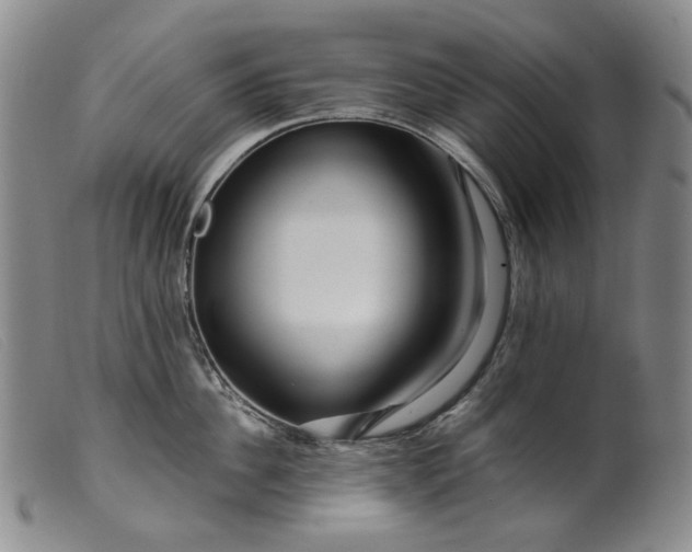 X0000099460956200805231803