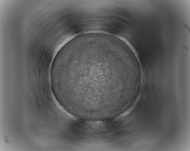 X0000099460957200805231803