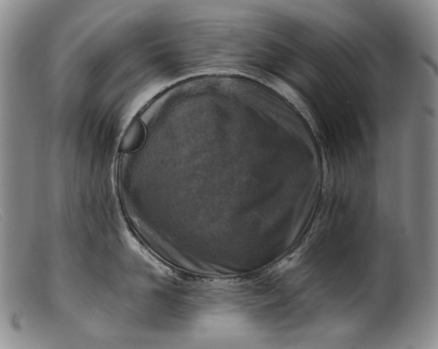 X0000099460958200805231803