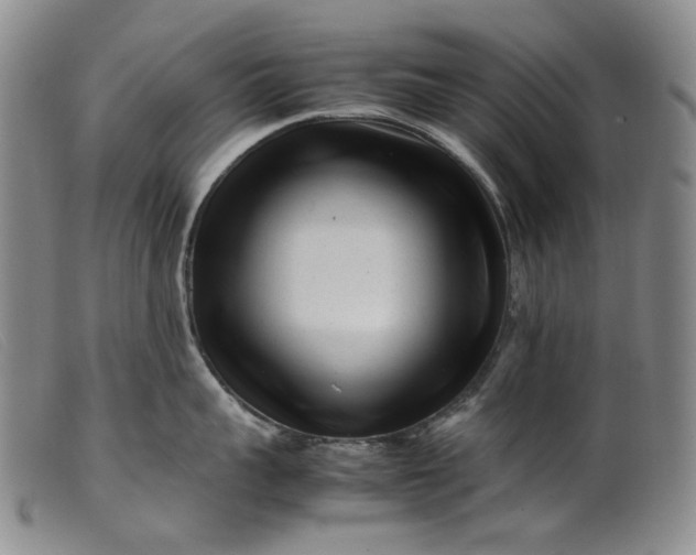 X0000099460959200805231803