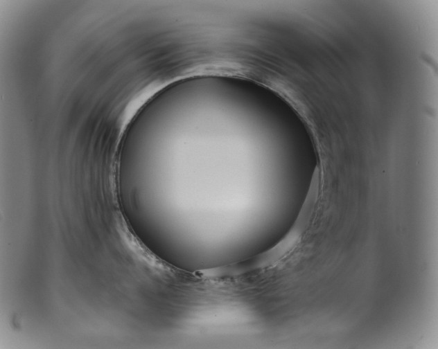 X0000099460960200805231803