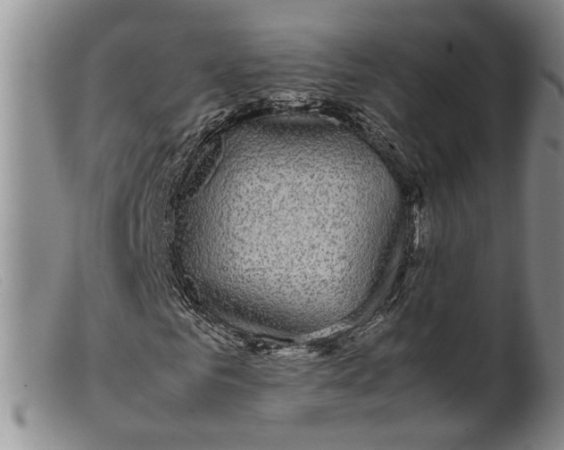 X0000099460961200805231802