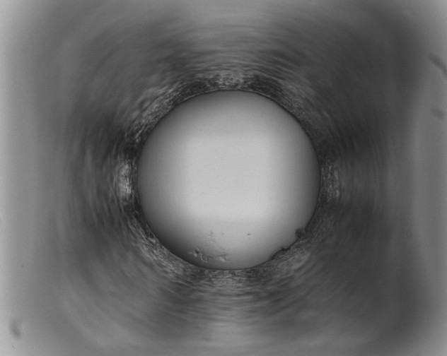 X0000099460962200805231802