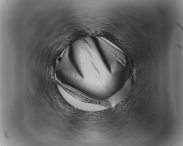 X0000099460963200805231802