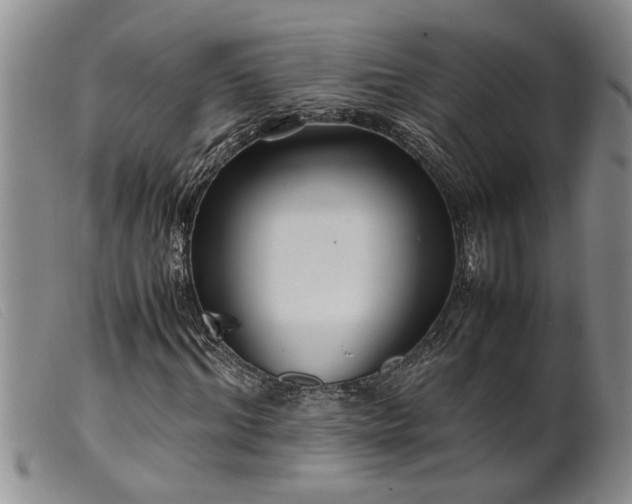 X0000099460964200805231802