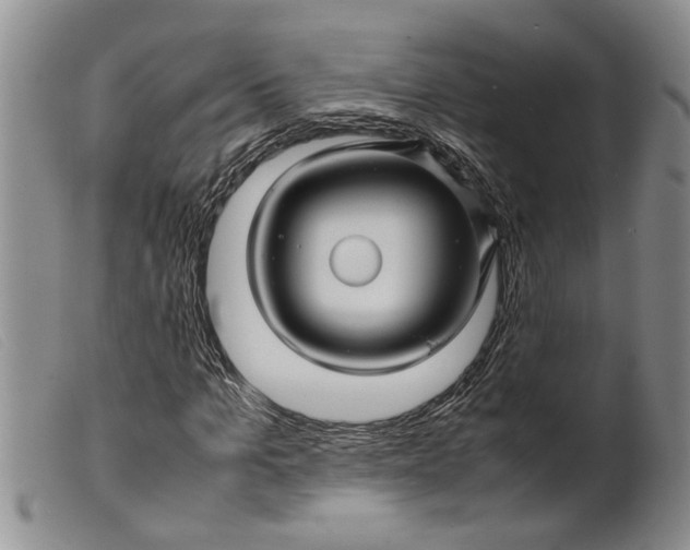 X0000099460965200805231802