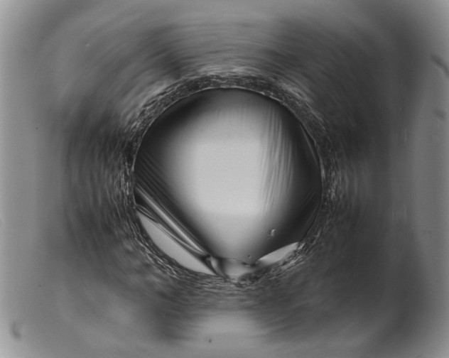 X0000099460966200805231802